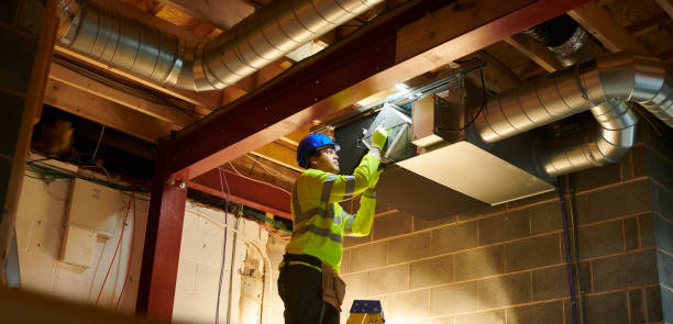 Best Air Duct Mold Removal  in Tyhee, ID