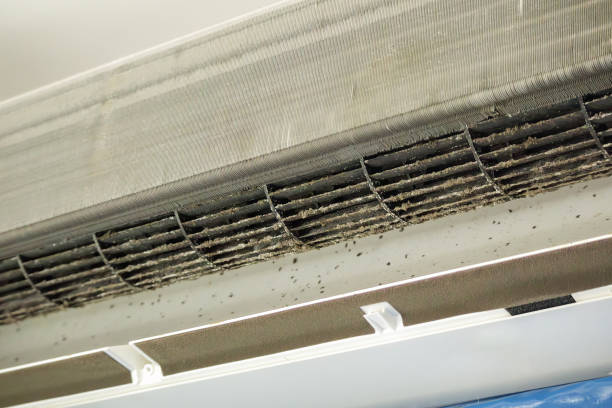 Best Commercial HVAC Duct Cleaning  in Tyhee, ID